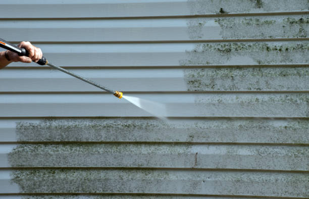 Best Eco-Friendly Pressure Washing in Reed Creek, GA